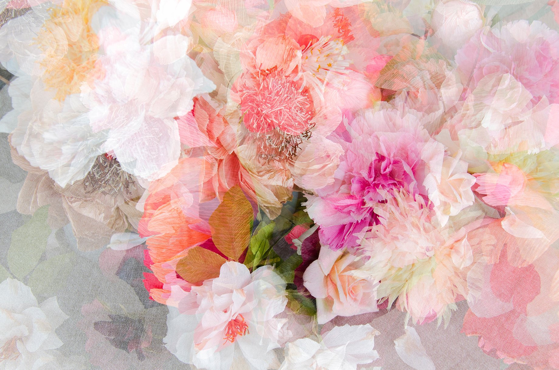 Irene Peña's series featuring paper flowers by Angela Hurtado Pimentel