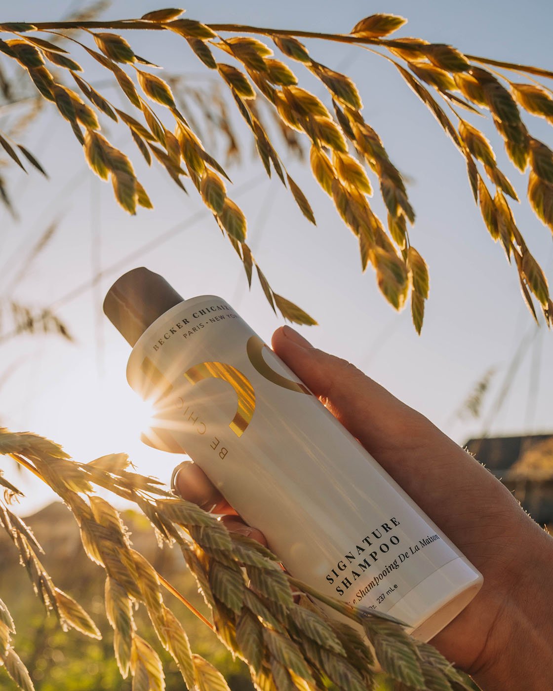 Be Chic Signature Shampoo shot in a hazy sunlit pasture by Chad Savage
