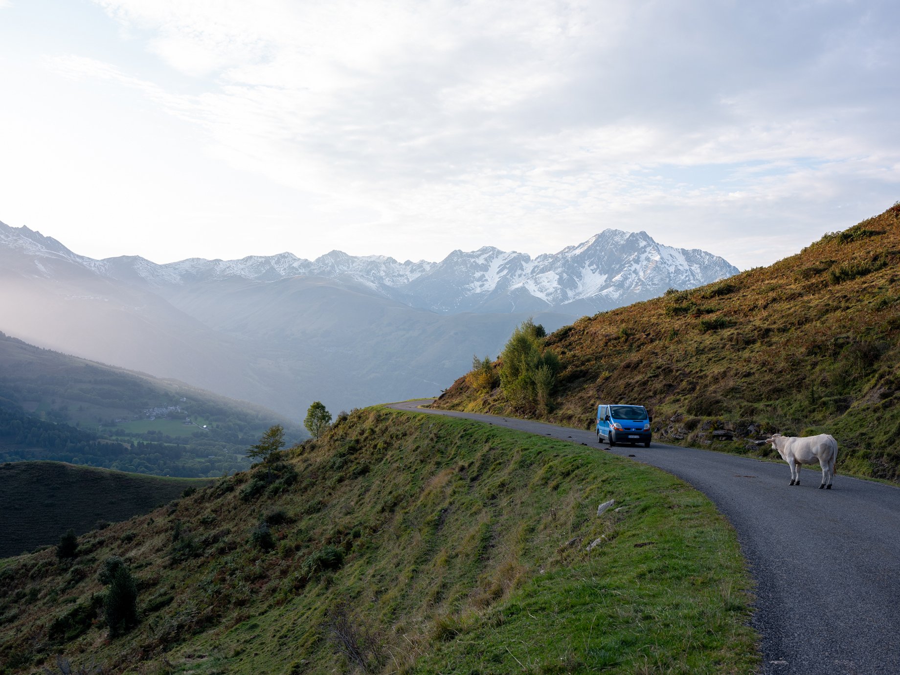 Mountain road with cows in the French Pyrenees shot by Markel Redondo for National Geographic Traveller Magazine