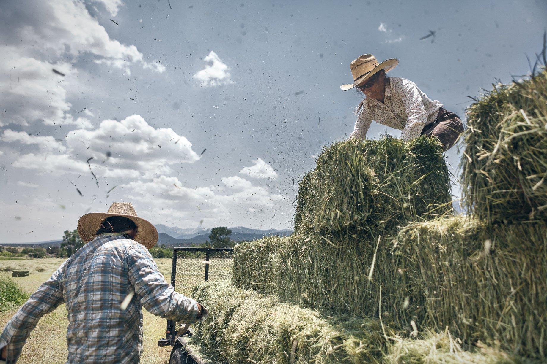 Two workers moving hay on Howard Creek Farm shot by Doug Gritzmacher