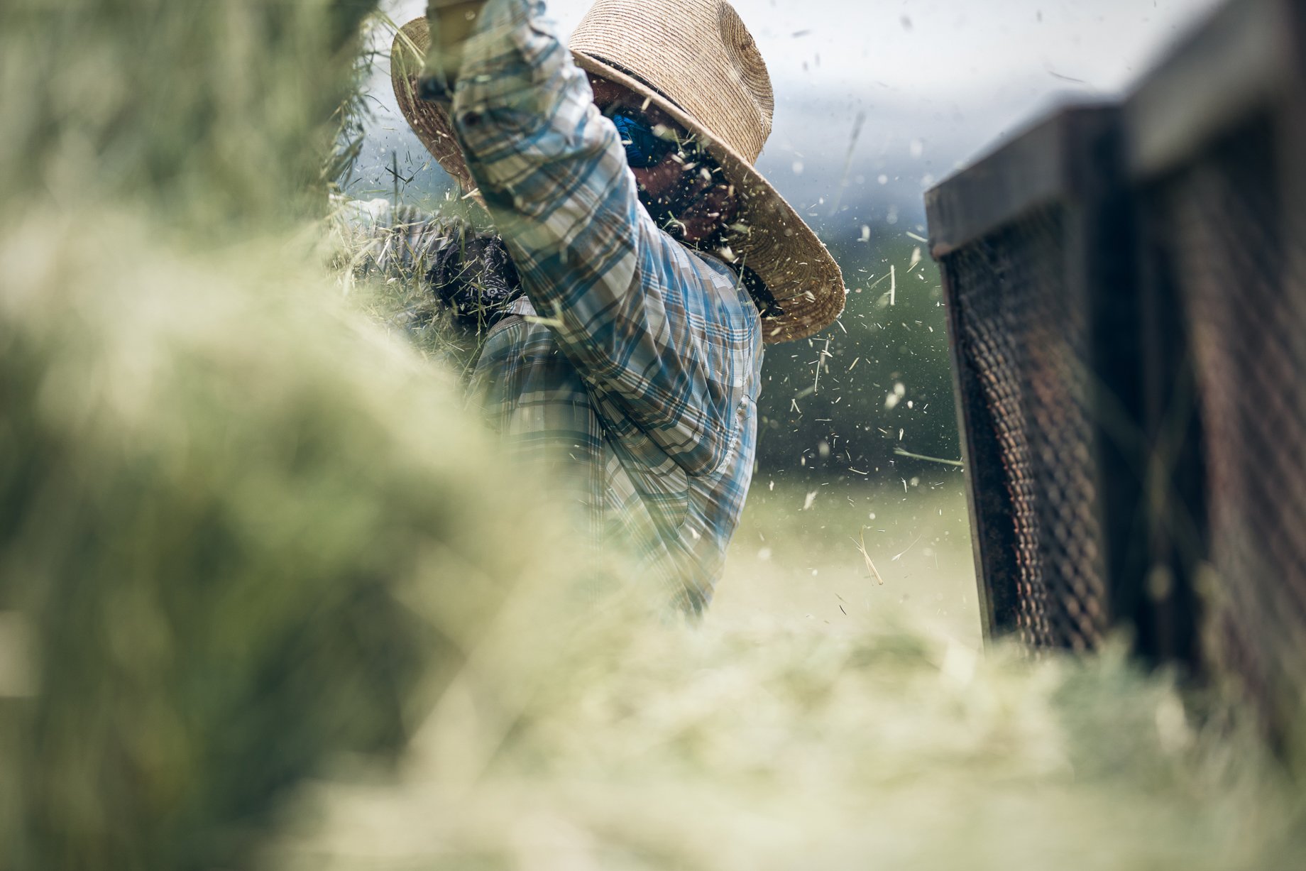 Hay flies as farmer loads truck at Howard Creek Farm shot by Doug Gritzmacher