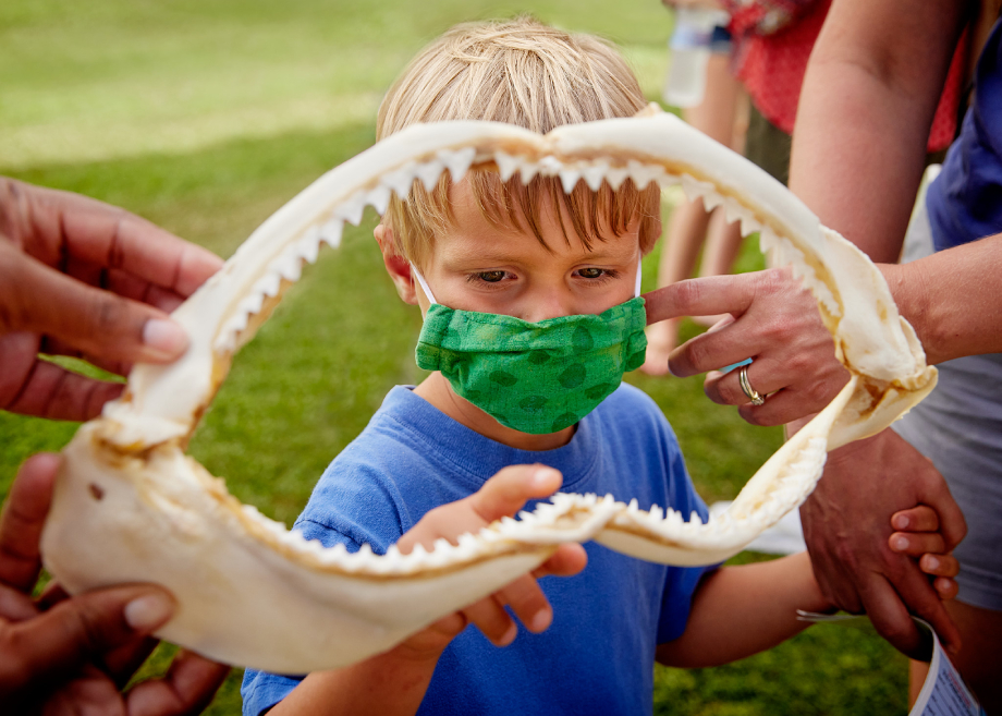 Child examining a small shark jaw bone for "My Former Future Self"