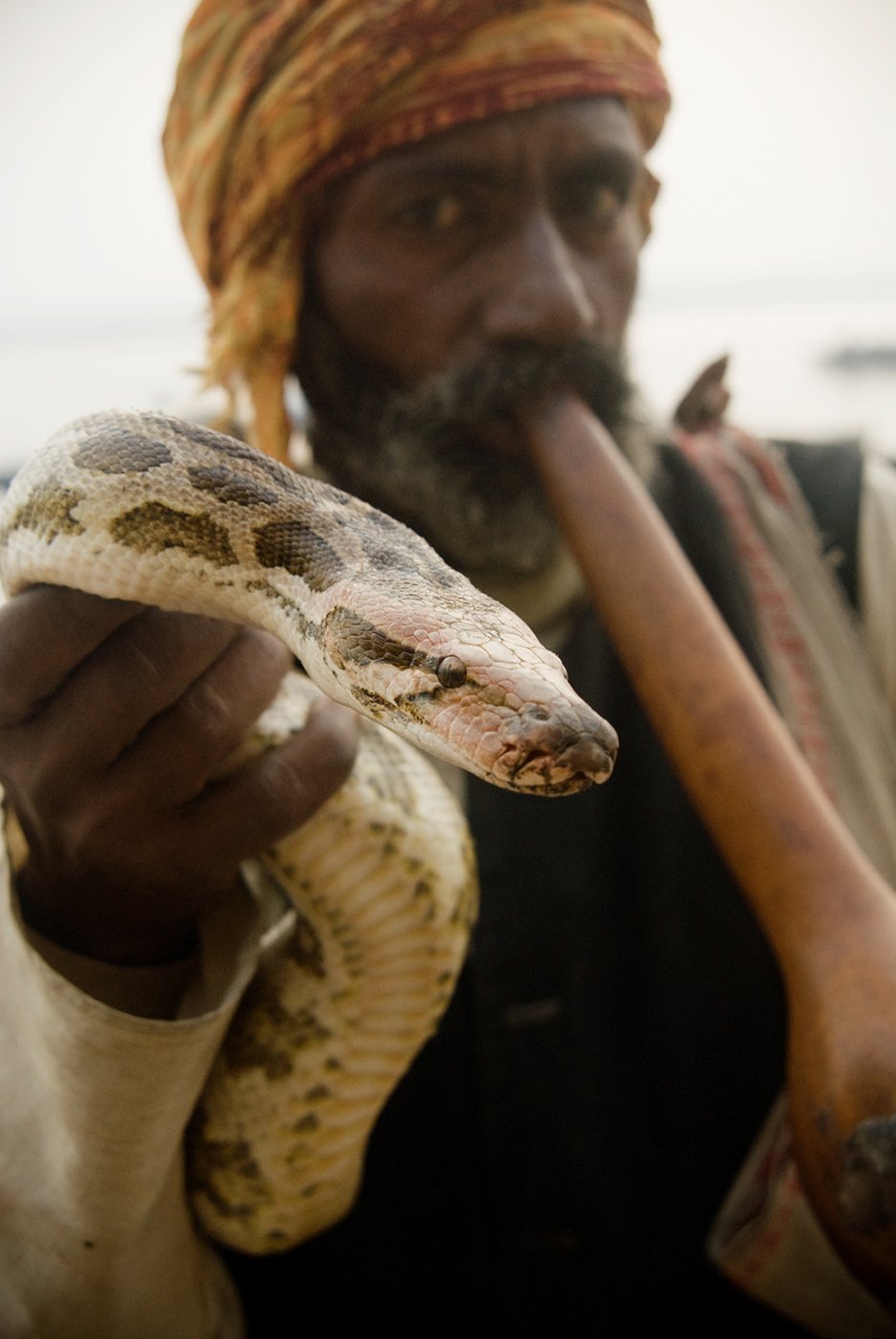 Man holding snake shot by Michael Marquand for Lodestars Anthology.