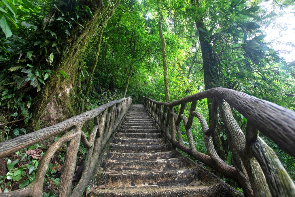 Wooden stairway at Parque Nacional del Volcán Tenorio shot by Cristina Candel for Viajar 