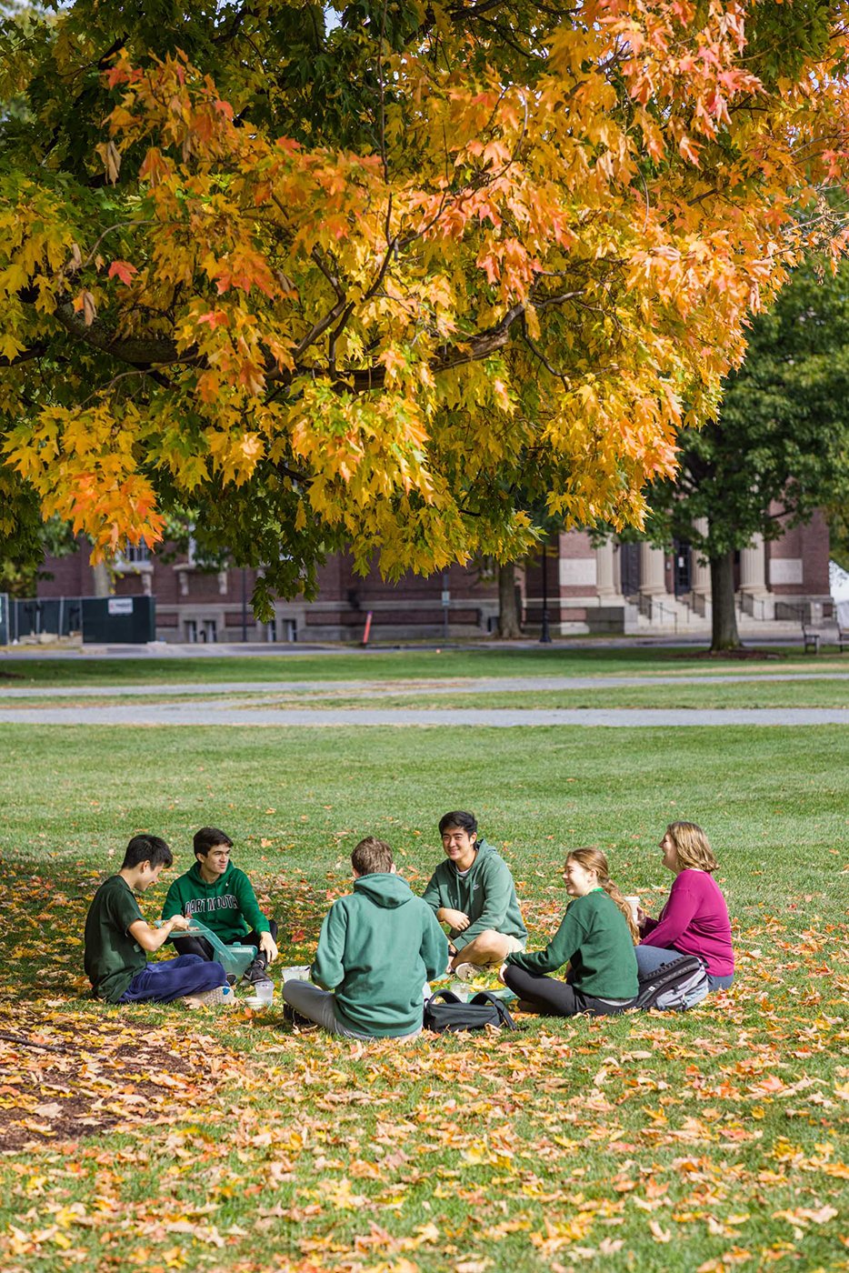 Dartmouth College students under a sugar maple tree shot by Oliver Parini for Yankee Magazine
