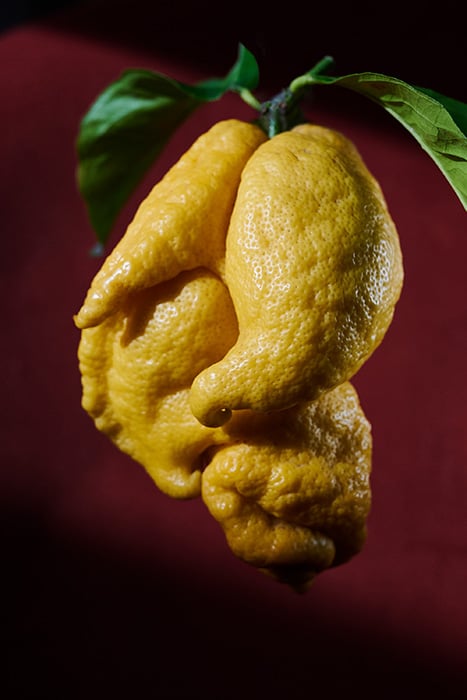 An oddly shaped lemon by John Cizmas