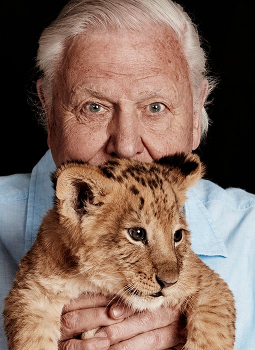 Sir David Attenborough with lion cub