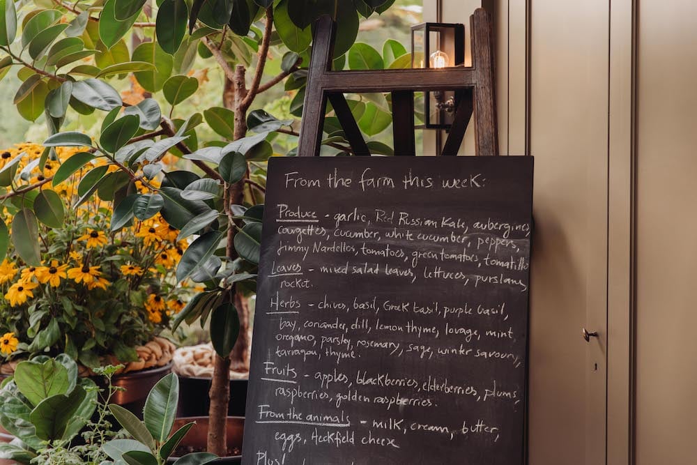Image of restaurant's chalkboard of farm fresh weekly specials, with plants and flowers, by London-based portrait photographer Dunja Opalko .