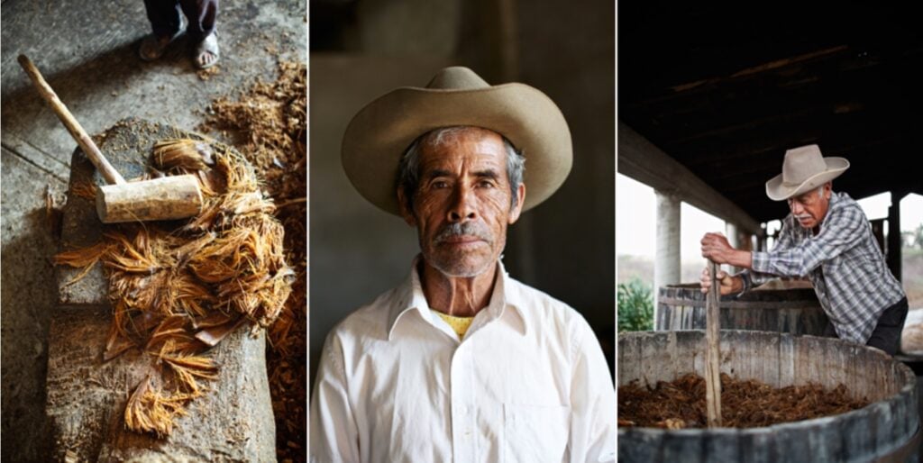 A triptych of photos by Jody Horton. documenting the harvest and distilling process of Mezcal. 