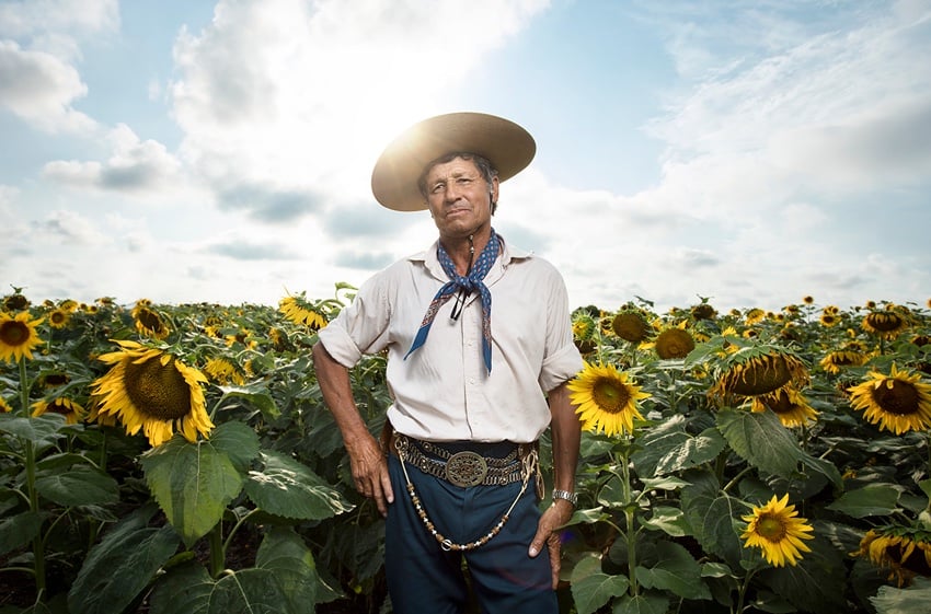 Jorge Oviedo's portrait of an Argentinian gaucho. The gaucho is posed with his hand on his hip in front of a field of sunflowers. It is a sunny day, and the sky is blue with white clouds in the background.
