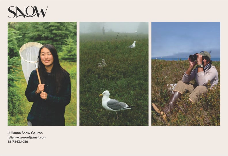 Email campaign vertical triptych, including (top to bottom) portrait of smiling figure with butterfly net, seagulls standing in fog, and photographer sitting in grassy field while looking through camera, by Arlington, Massachusetts-based photographer Julianne Snow Gauron, as part of the Marketing Mentor service.