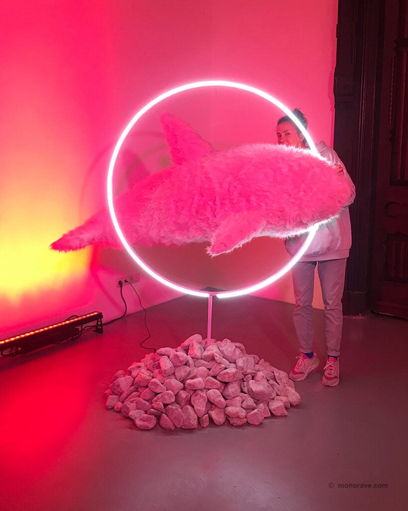 Behind the scenes image of a bright pink, furry orca suspended through a hoop of neon light.