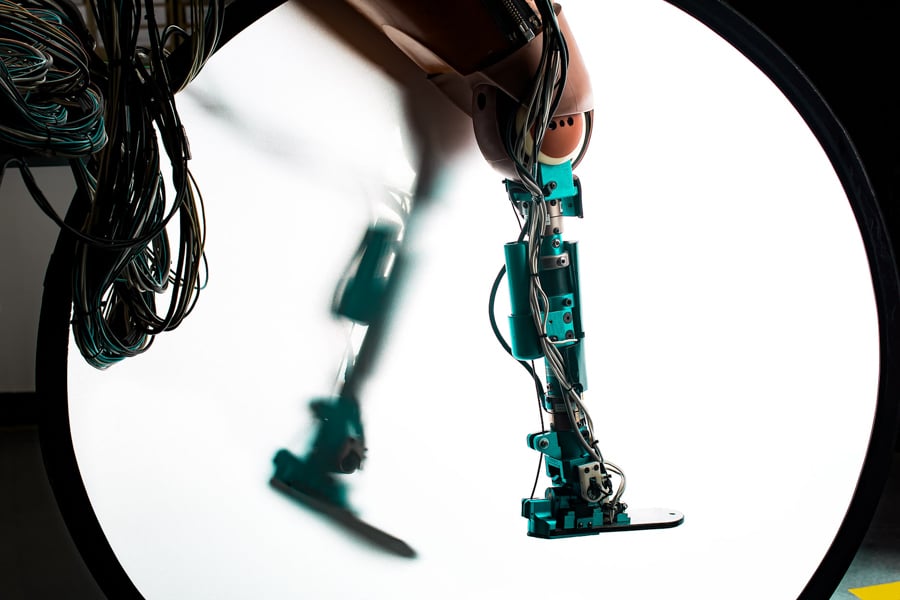 Image of robot legs by Buffalo, New York-based photographer Scott Gable.