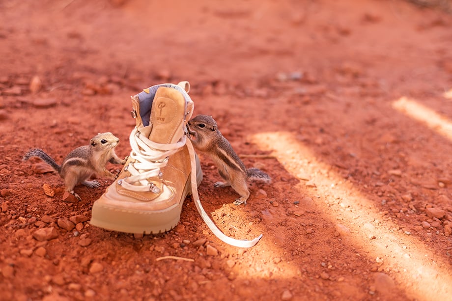 Valley of Fire State Park for Erem hiking boots shot by Cameron Karsten. 