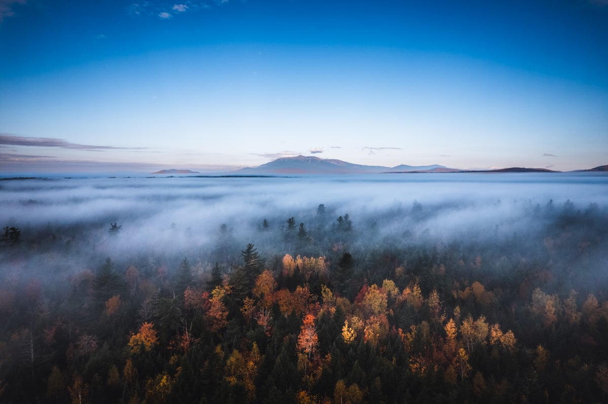 A aerial landscape photo by Chris Bennett showing morning fog over the treetops. 
