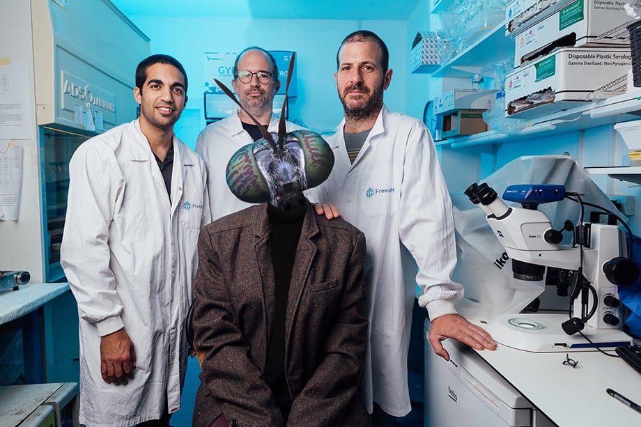 A surreal portrait of FreezeM team members and a human-sized black soldier fly in their lab
