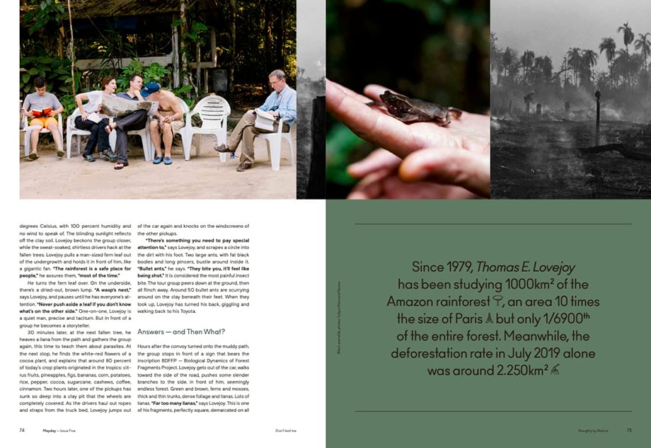 Tearsheet from Mayday magazine of Camp 41 at the Amazon Biodiversity Center.