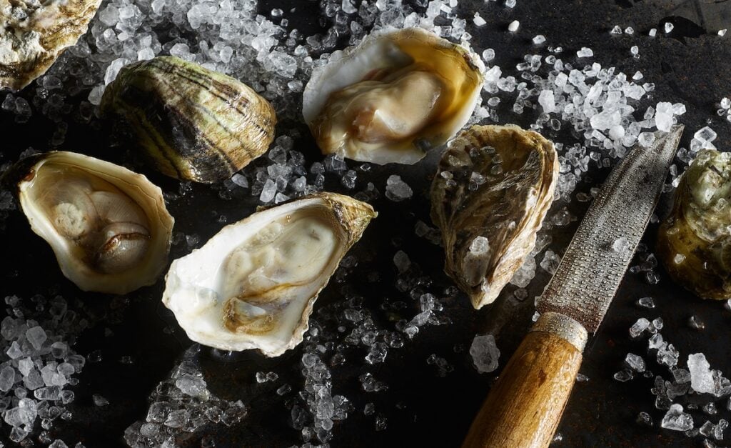 Photo of oysters by Nashville Food photographer Kyle Dreier.
