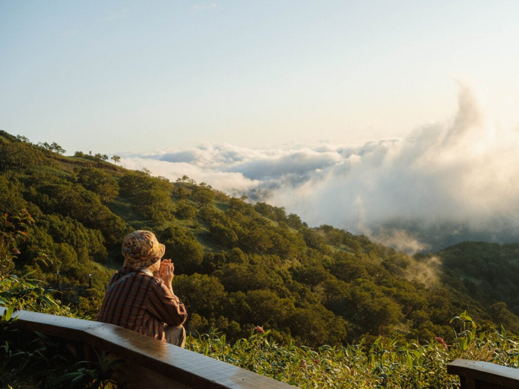 A color photo of a person looking at a forest landscape partially covered by clouds by Alvin Ng.