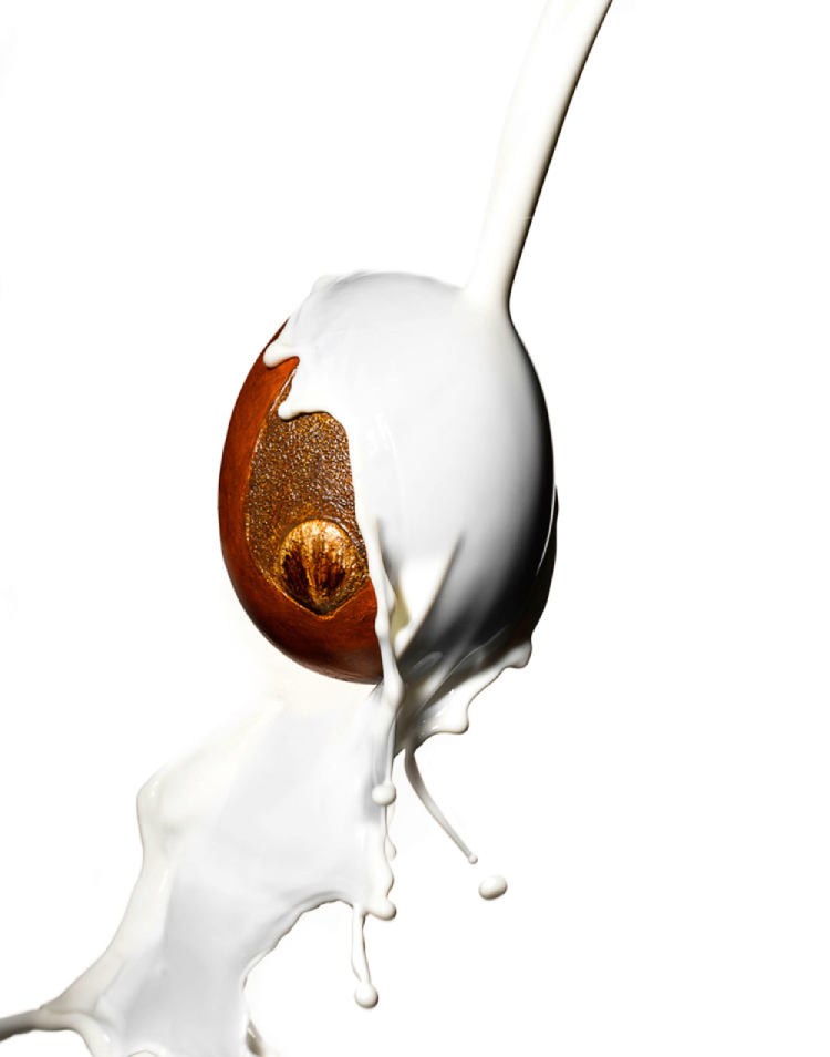 A color photo by Richard Pierce of a stream of white milky liquid splashing into a shea nut. 
