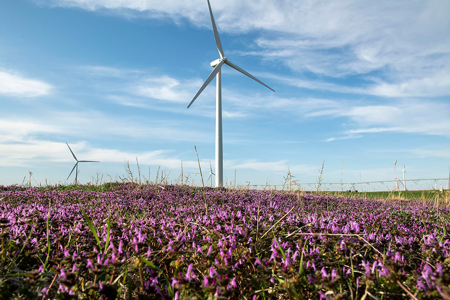 A windmill on BP's Wind Farm in Wichita Kansas, surrounded by a meadow of flowers