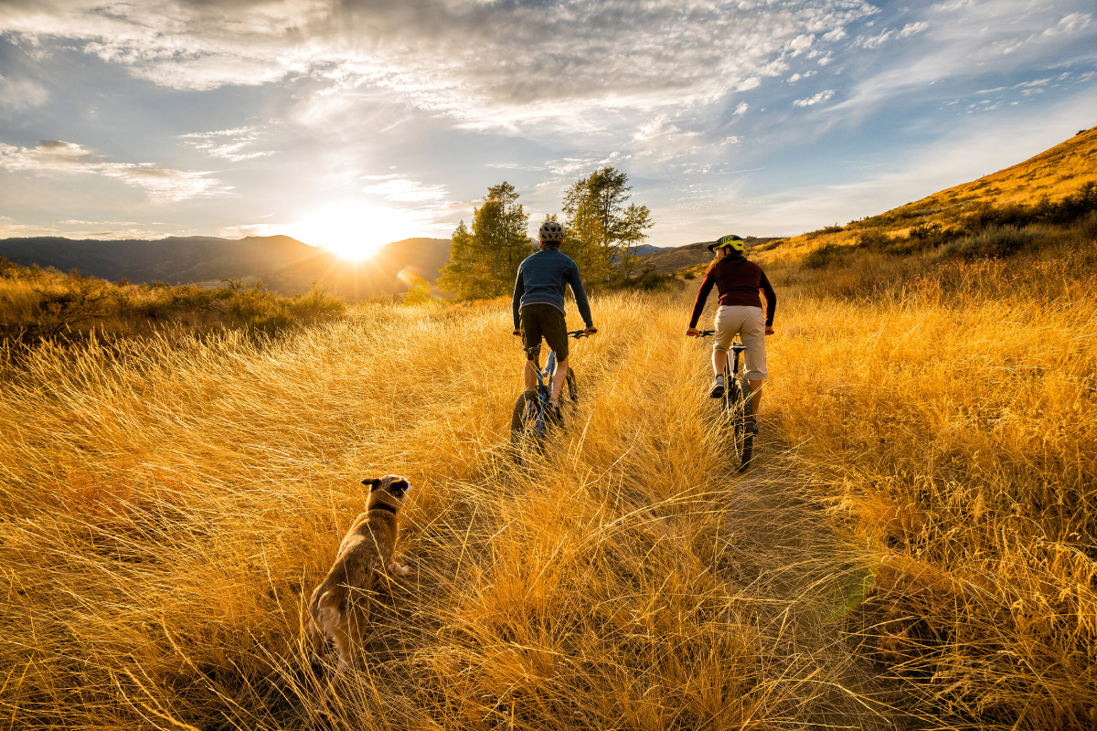 A pair of cyclist pedal through a golden, sun-kissed field, their dog faithfully following behind, photo by Seattle Lifestyle photographer Stephen Matera.